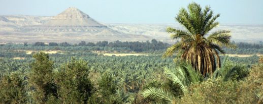 Egypt Siwa oasis tour