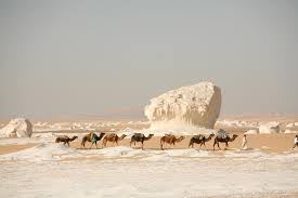 White Desert Farafra Oasis Bahariya Tour